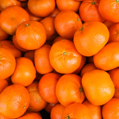 CLEMENTINA 1ª