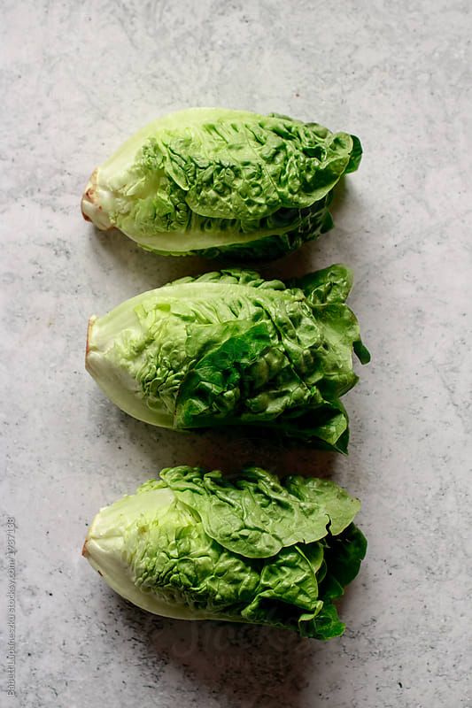 LECHUGA BABY