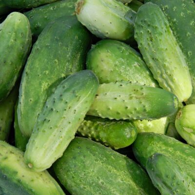 PEPINO ESPAÑOL