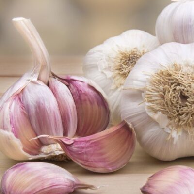AJO SPRING VIOLETA